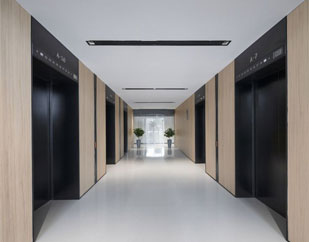 Image Gallery