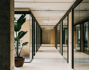 Image Gallery