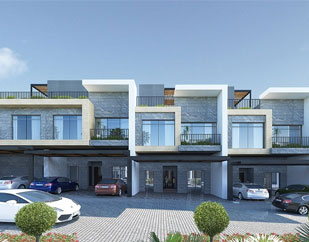 Image Gallery